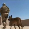 V Afghánistánu byli společně se SOGem nasazeni psovodi z SDAT (Special Dog and Tactical) s  bojový psi, kteří  jsou vycvičeni k čištění zákopů a bunkrů. Psovodi jsou veterinární stanice z  Grabštejna, kde sídlí...